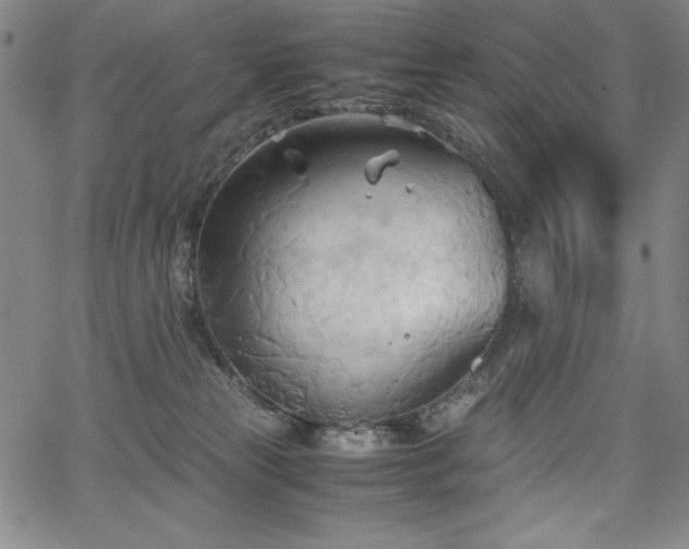 X0000067830181200604131210