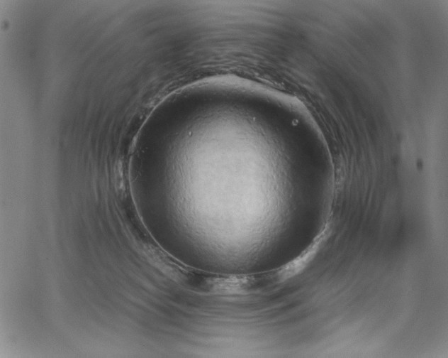 X0000067830182200604131210