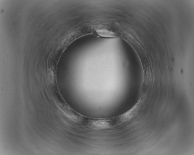 X0000067830183200604131210