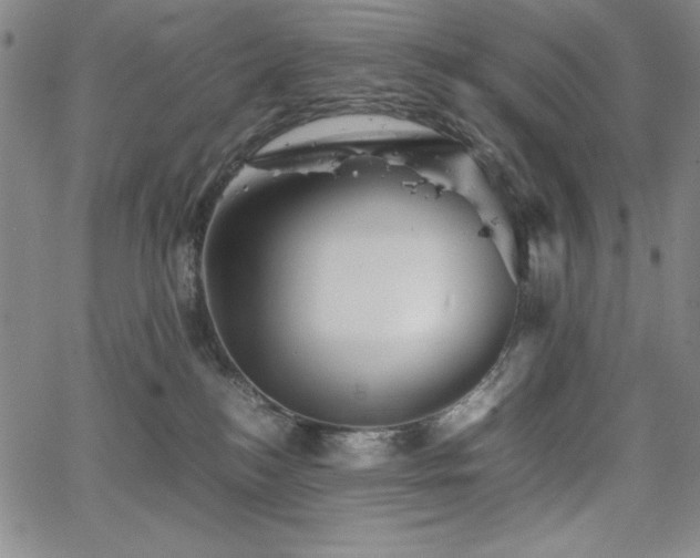 X0000067830184200604131210