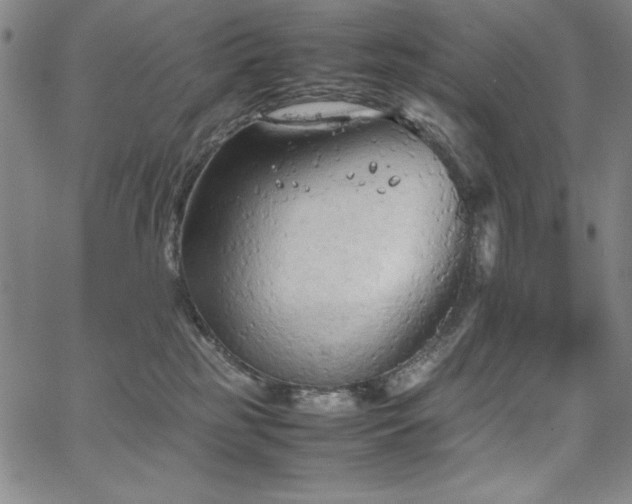 X0000067830185200604131210