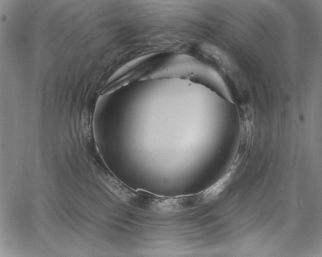 X0000067830186200604131210