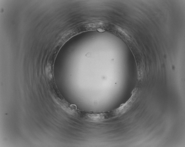 X0000067830187200604131210