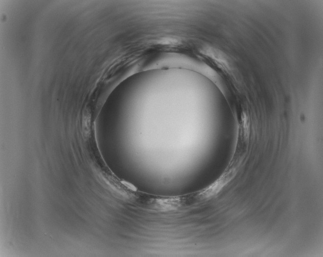 X0000067830188200604131210