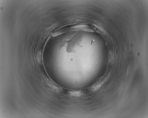 X0000067830189200604131210