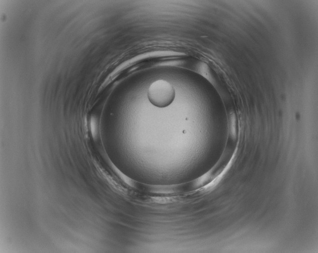 X0000067830190200604131210