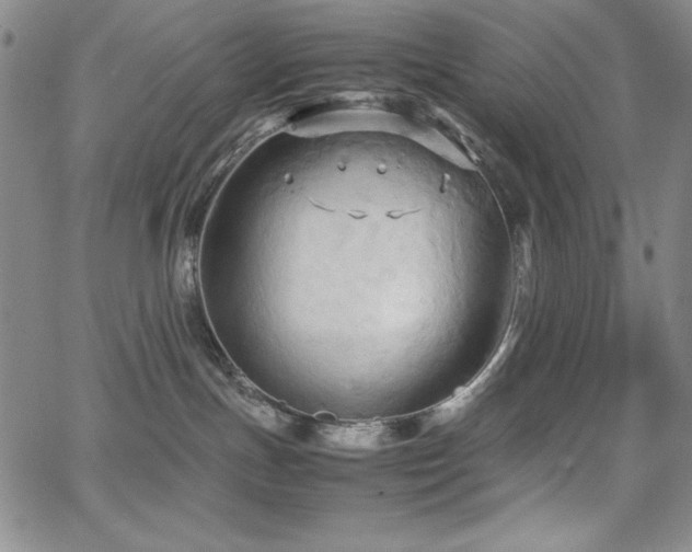 X0000067830191200604131210