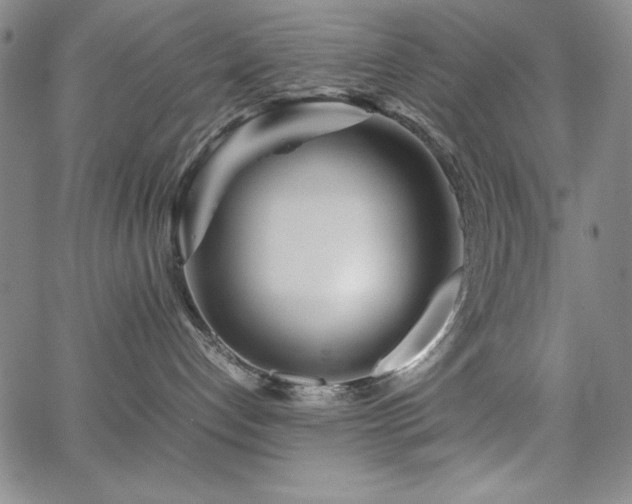 X0000067830192200604131210