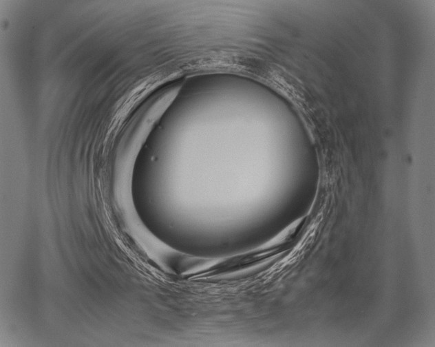 X0000067830193200604131209