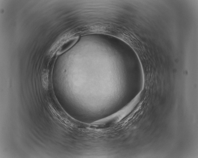 X0000067830194200604131209