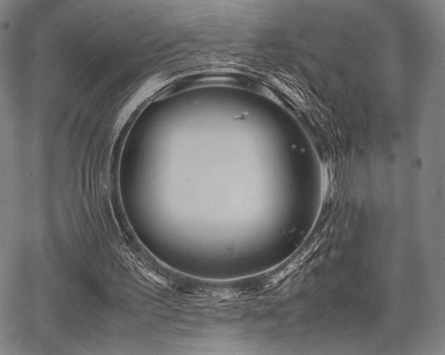 X0000067830195200604131209