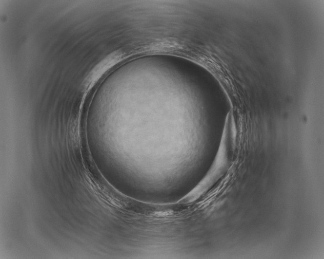 X0000067830196200604131209