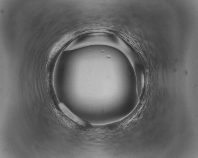 X0000067830197200604131209