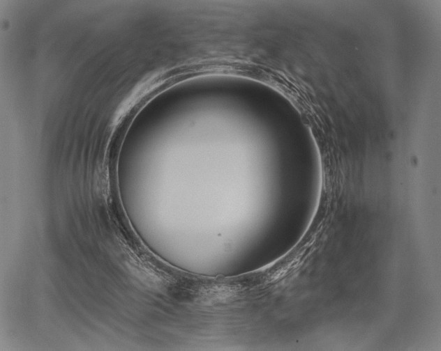 X0000067830198200604131209