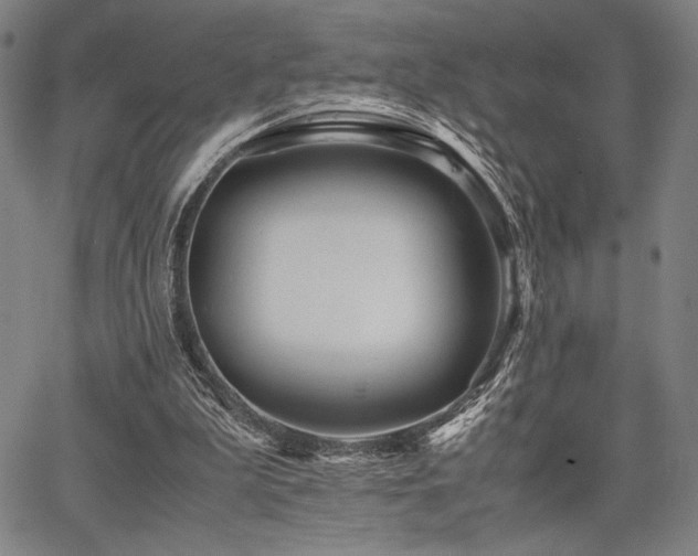 X0000067830199200604131209