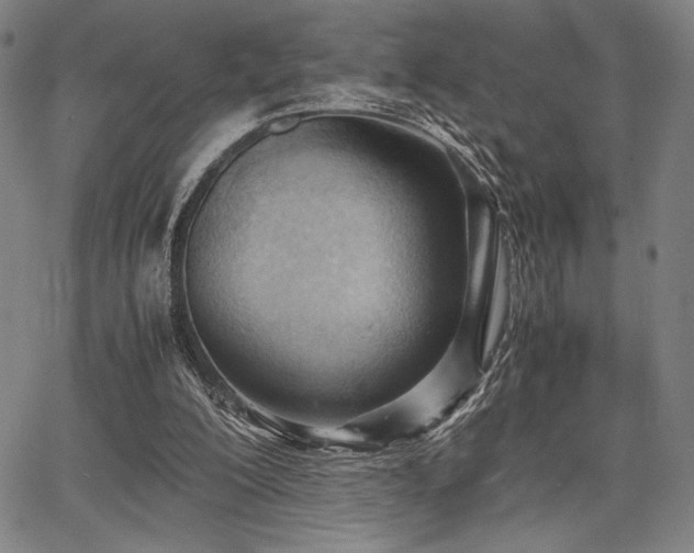 X0000067830200200604131209