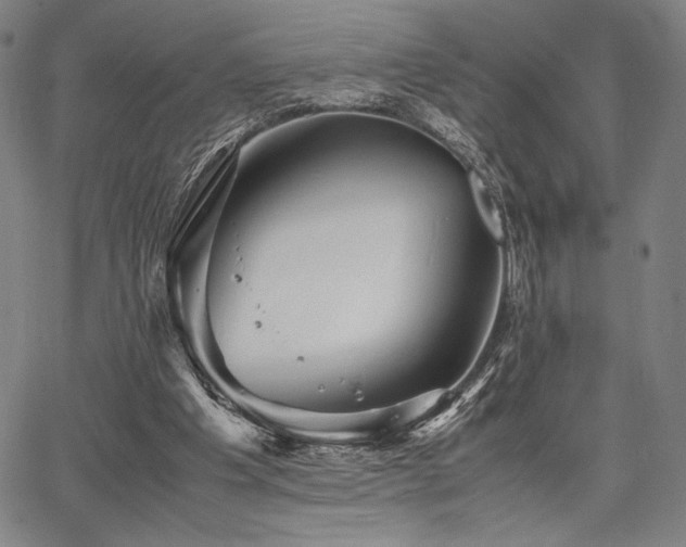 X0000067830201200604131209