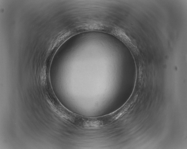 X0000067830202200604131209