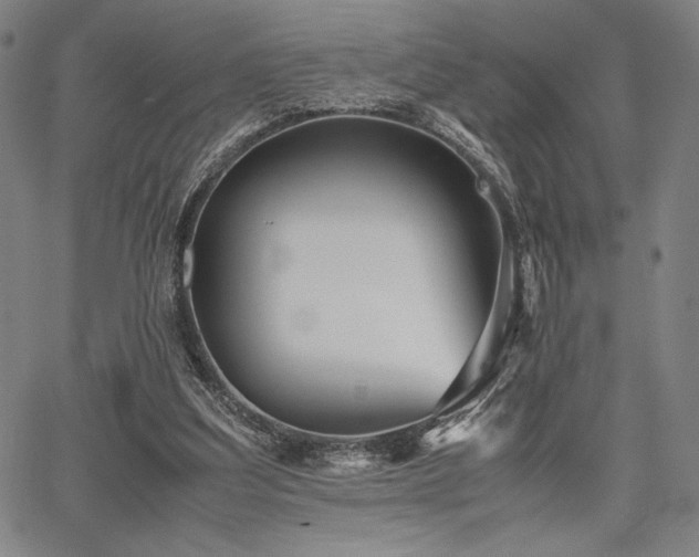 X0000067830203200604131209