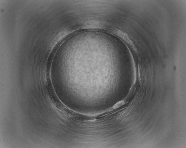 X0000067830204200604131209