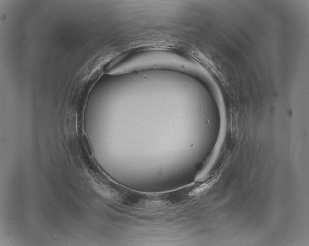 X0000067830205200604131209