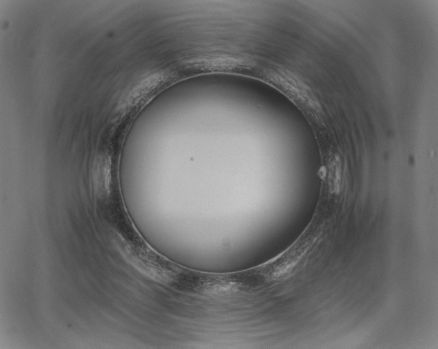 X0000067830206200604131209