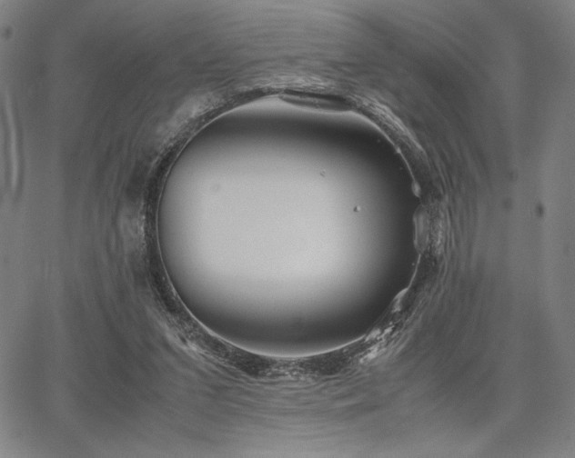 X0000067830207200604131209