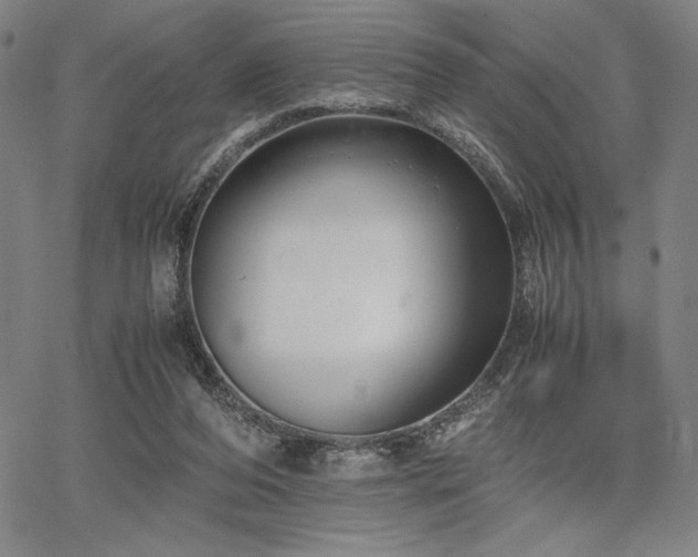 X0000067830208200604131209