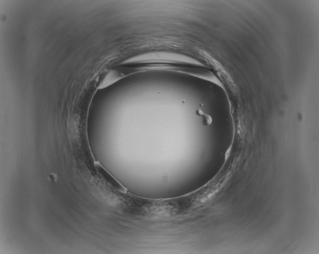 X0000067830209200604131209