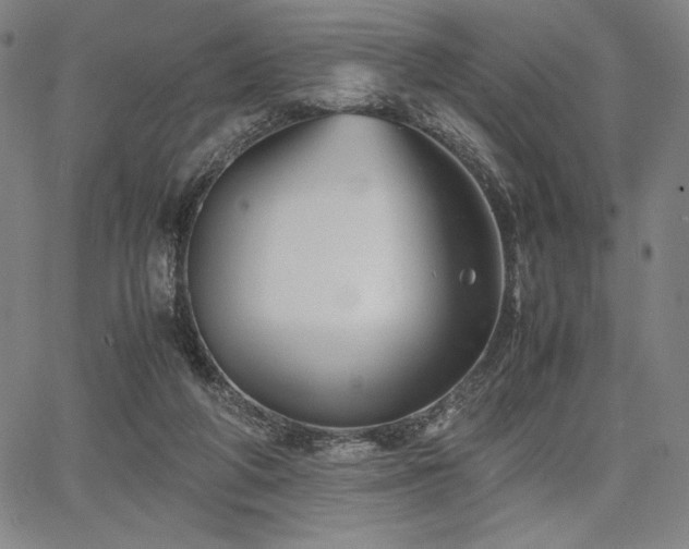 X0000067830210200604131209