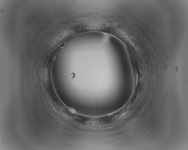 X0000067830211200604131209