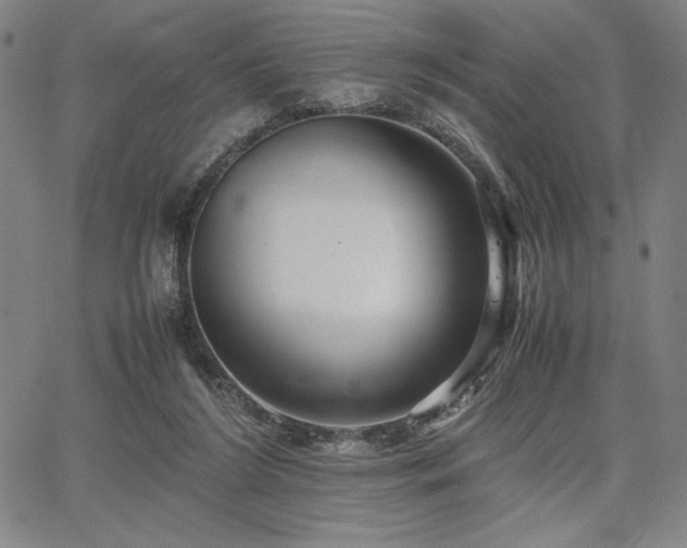 X0000067830212200604131209