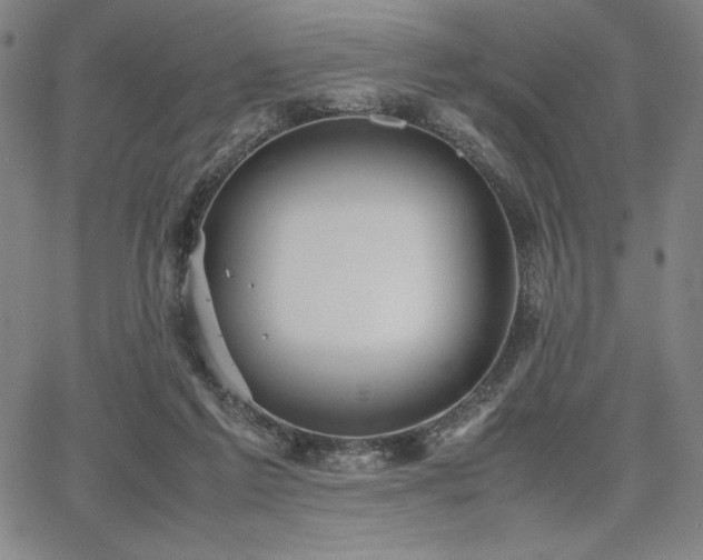 X0000067830213200604131209