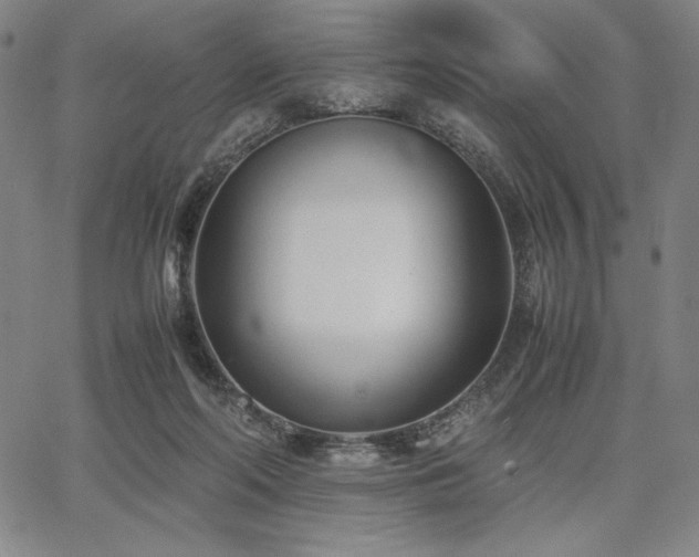 X0000067830214200604131209