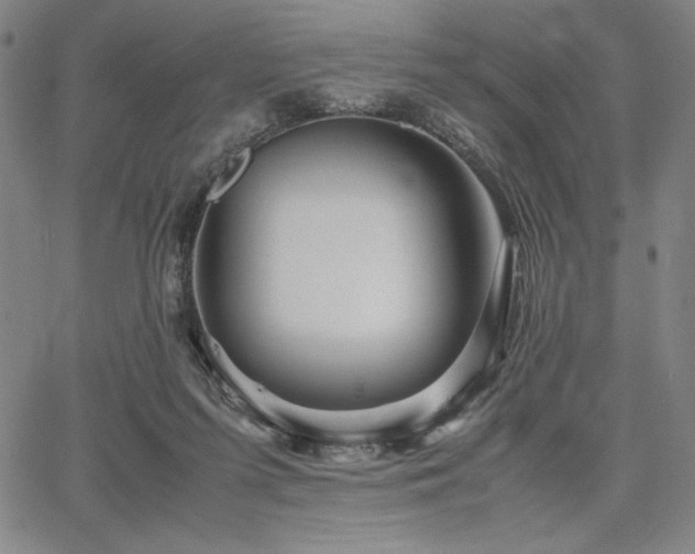 X0000067830215200604131209