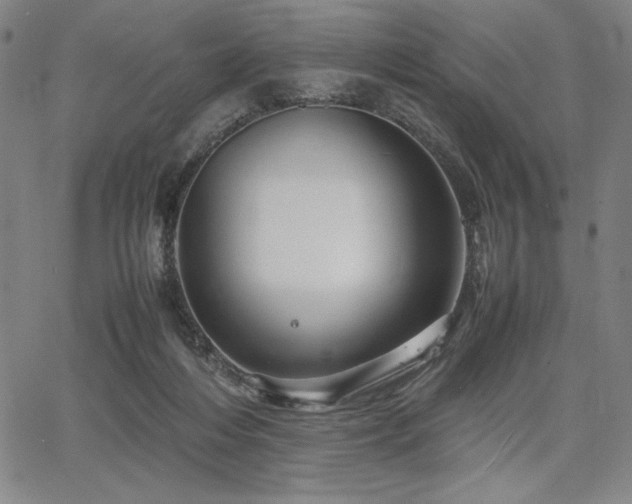 X0000067830216200604131209