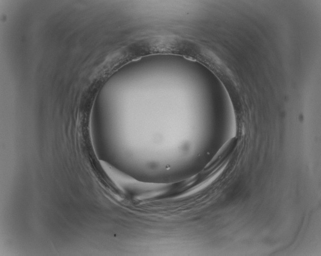 X0000067830217200604131209