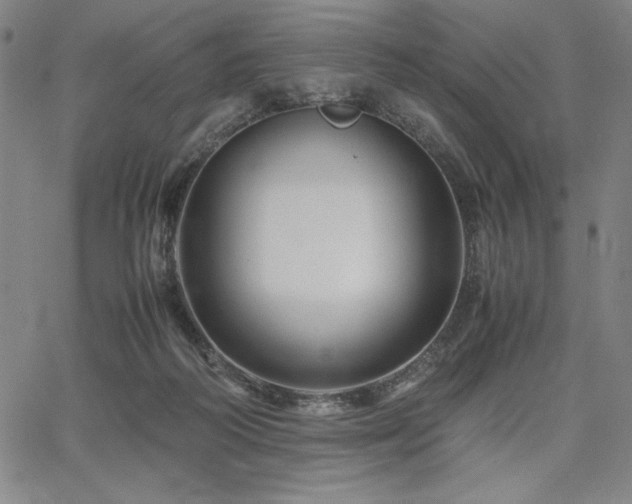 X0000067830218200604131209