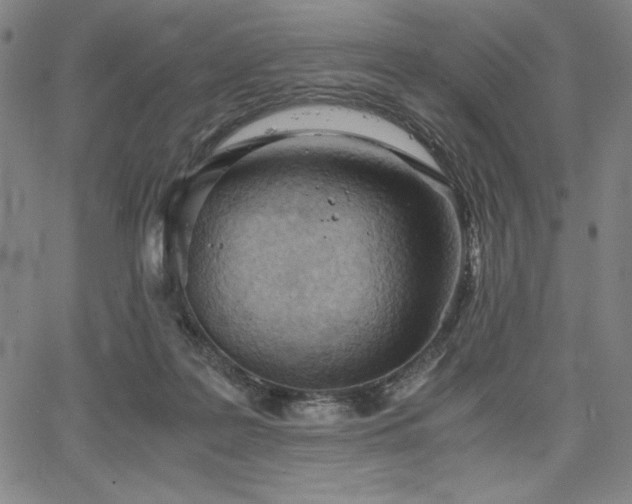 X0000067830219200604131209