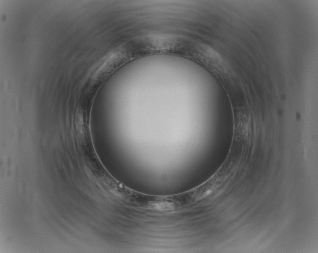 X0000067830220200604131209