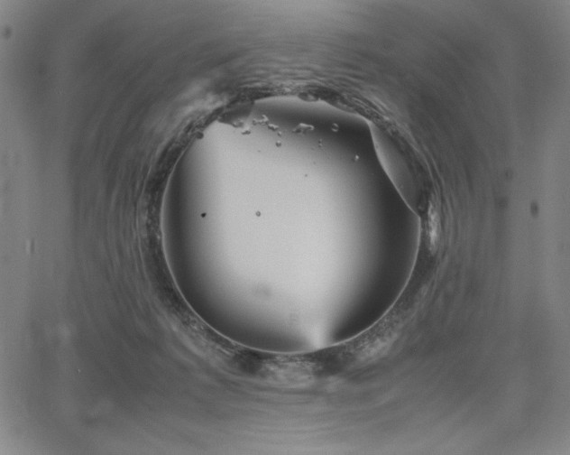 X0000067830221200604131209