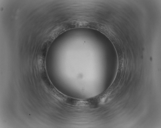 X0000067830222200604131209