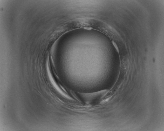 X0000067830223200604131209