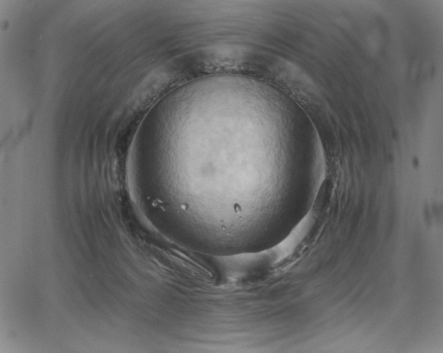 X0000067830224200604131209