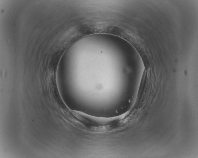 X0000067830225200604131209