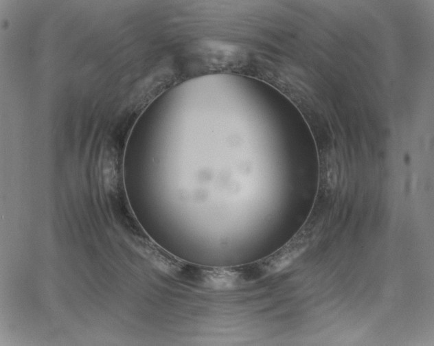 X0000067830226200604131209