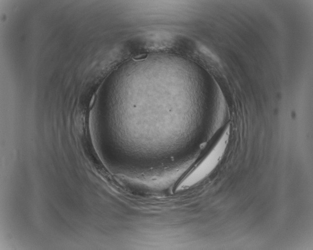 X0000067830227200604131209