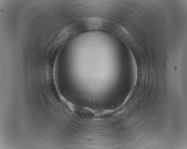 X0000067830228200604131209