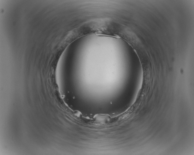 X0000067830229200604131209