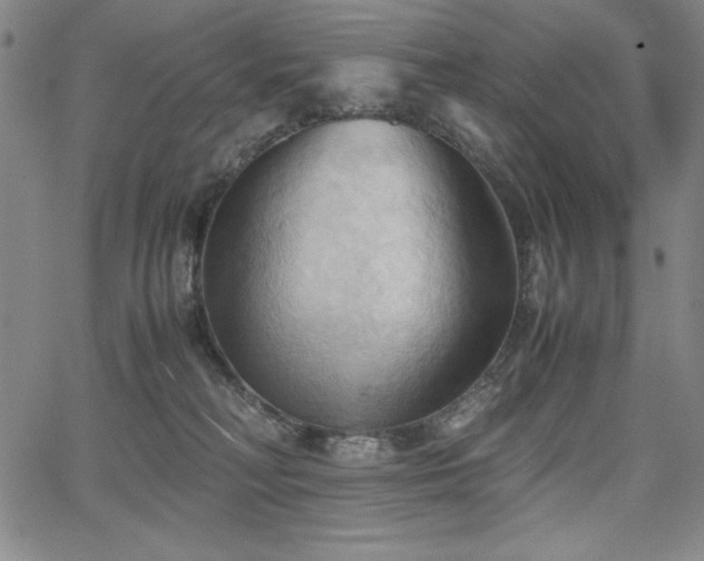 X0000067830230200604131209